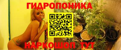 прущие грибы Бугуруслан