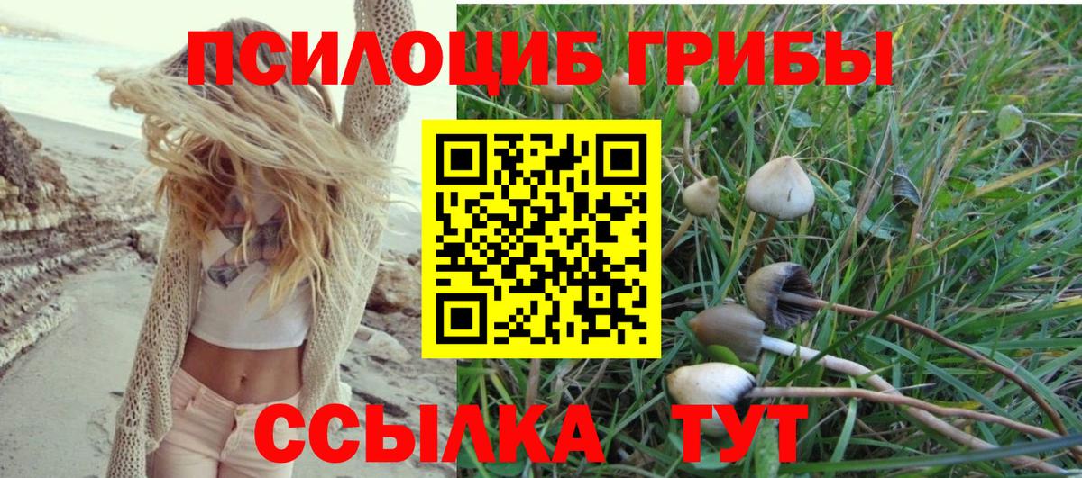 Галлюциногенные грибы Magic Shrooms  Псилоцибиновые грибы Magic Shrooms  Ставрополь  Вход с VPN 