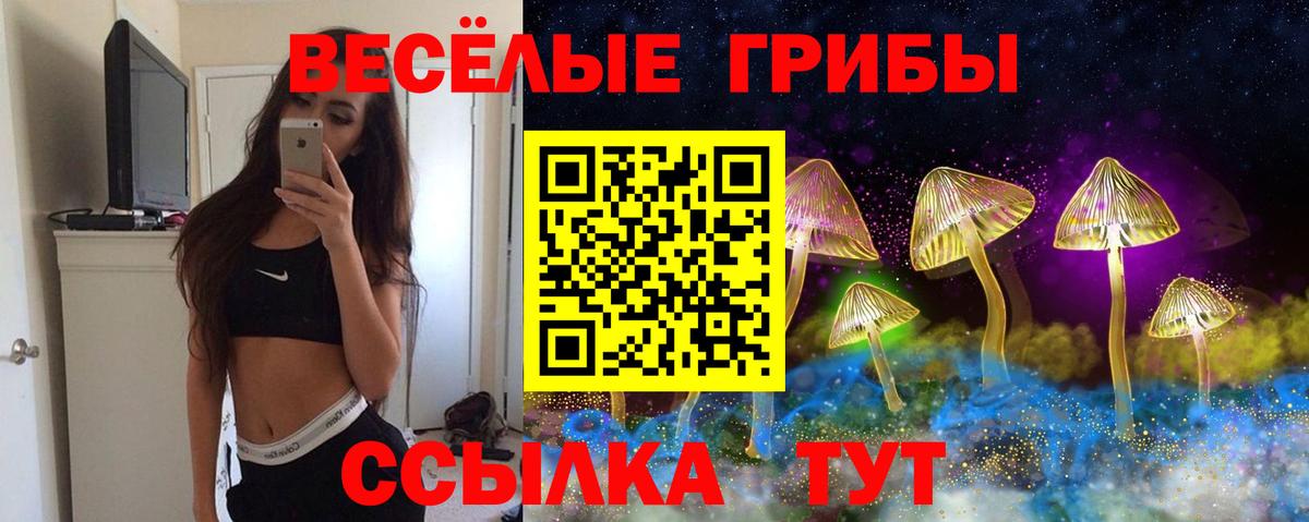 Галлюциногенные грибы Psilocybe Ставрополь